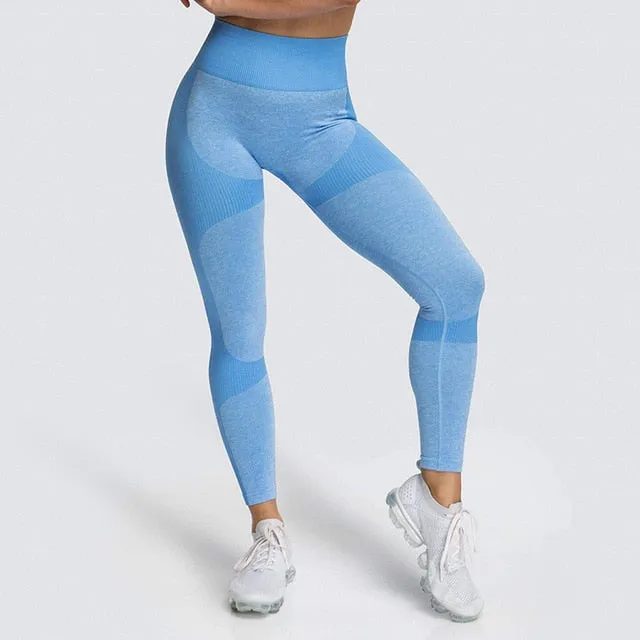 Athletic Workout Long Tights