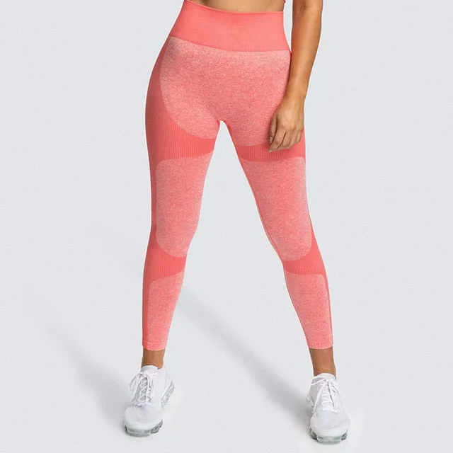 Athletic Workout Long Tights