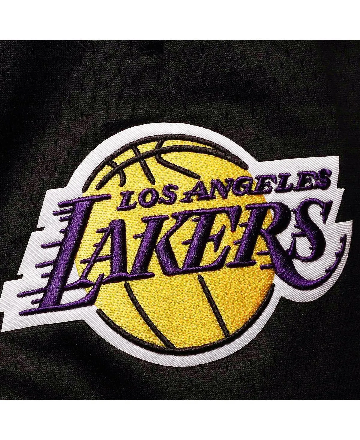 Los Angeles Lakers Capsule Pro Standard Men's Black Mesh Shorts, Black